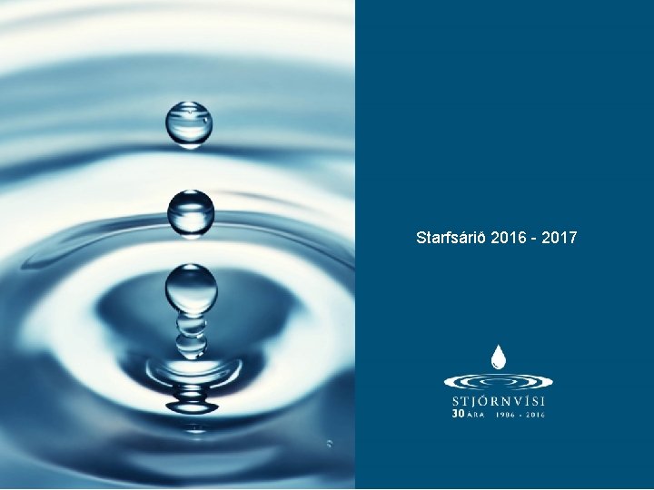 Starfsárið 2016 - 2017 