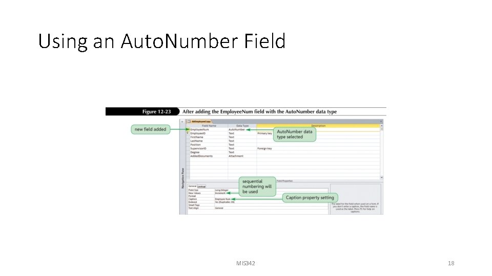 Using an Auto. Number Field MIS 342 18 