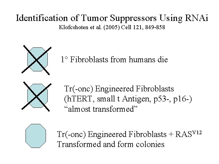 Identification of Tumor Suppressors Using RNAi Klofcshoten et al. (2005) Cell 121, 849 -858