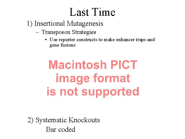 Last Time 1) Insertional Mutagenesis – Transposon Strategies • Use reporter constructs to make