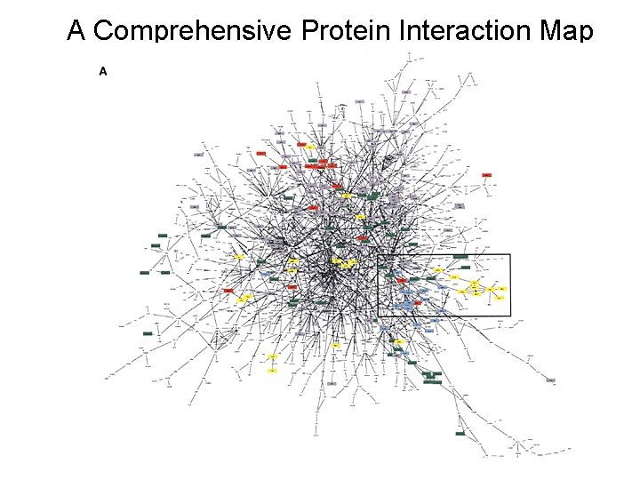 A Comprehensive Protein Interaction Map 