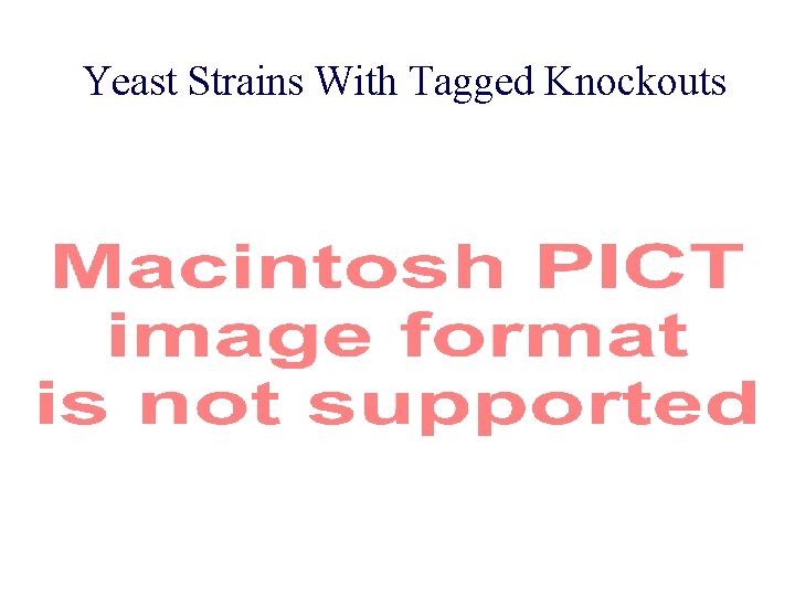 Yeast Strains With Tagged Knockouts 