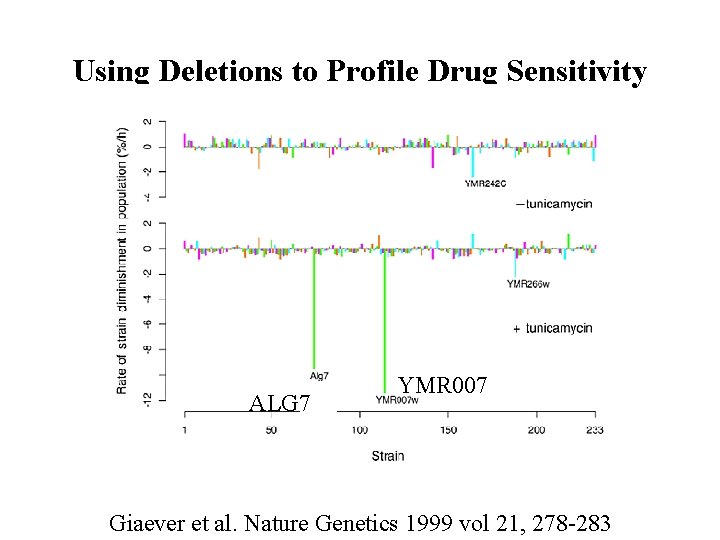 Using Deletions to Profile Drug Sensitivity ALG 7 YMR 007 Giaever et al. Nature