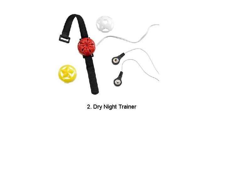 2. Dry Night Trainer 