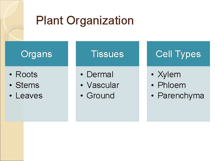 Plant Organization Organs • Roots • Stems • Leaves Tissues • Dermal • Vascular
