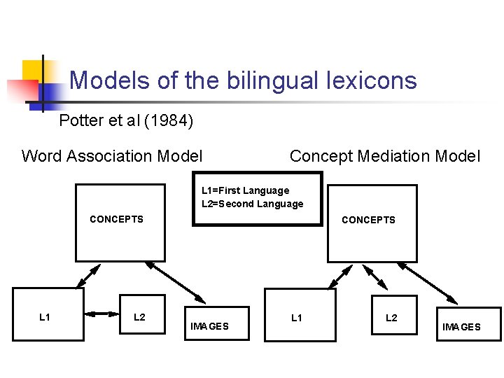 Models of the bilingual lexicons Potter et al (1984) Word Association Model Concept Mediation