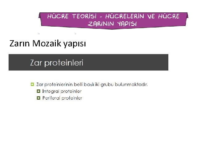 Zarın Mozaik yapısı 