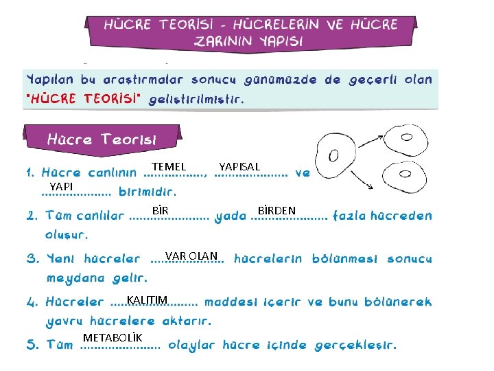 TEMEL YAPISAL YAPI BİRDEN VAR OLAN BİTKİ KALITIM METABOLİK HAYVAN VAR 