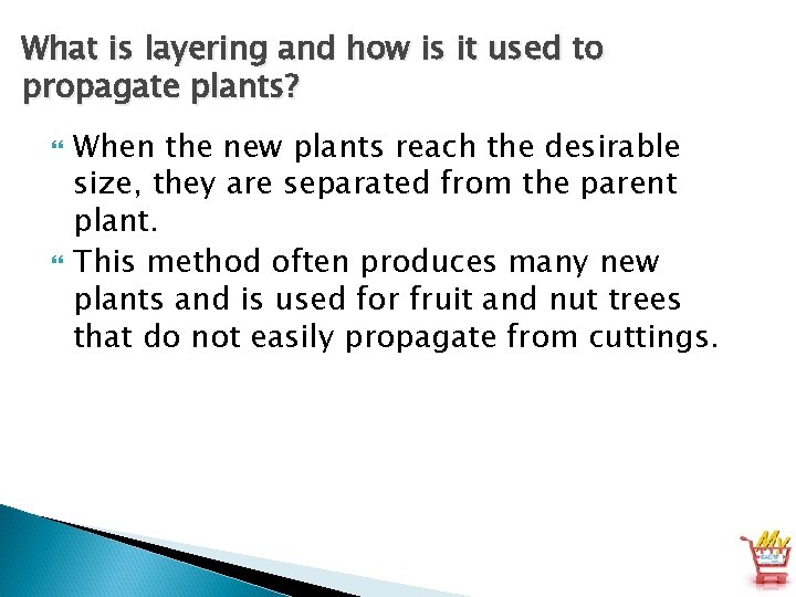 What is layering and how is it used to propagate plants? When the new