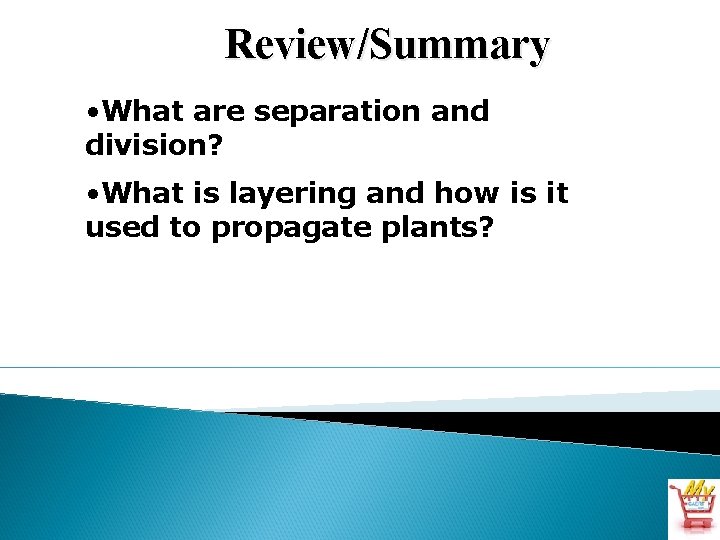 Review/Summary • What are separation and division? • What is layering and how is