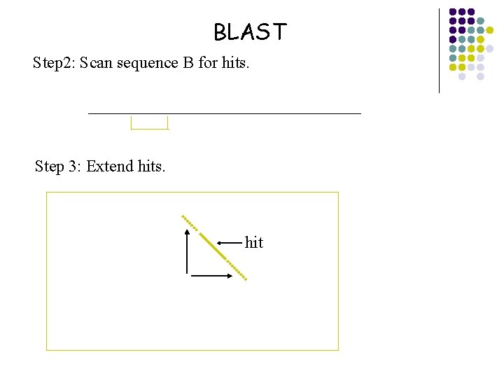 BLAST Step 2: Scan sequence B for hits. Step 3: Extend hits. hit 