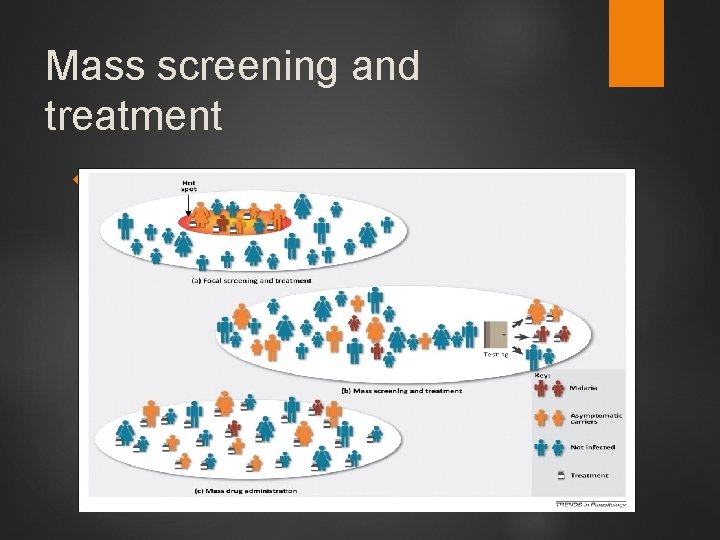Mass screening and treatment 