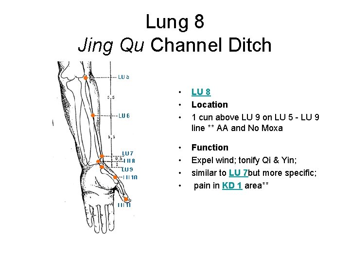 Lung 8 Jing Qu Channel Ditch • • • LU 8 Location 1 cun