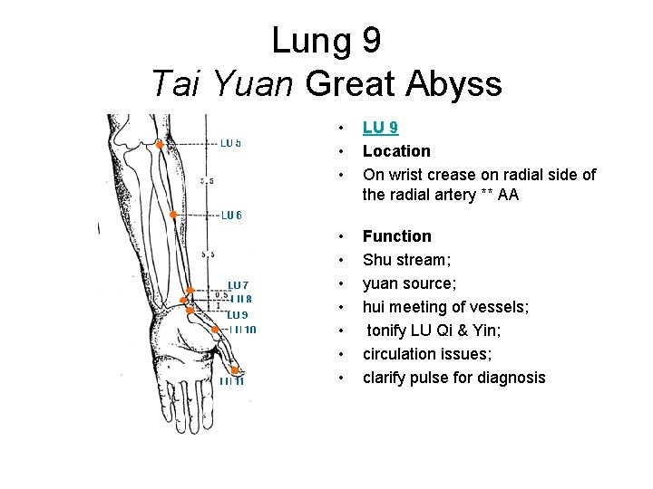 Lung 9 Tai Yuan Great Abyss • • • LU 9 Location On wrist
