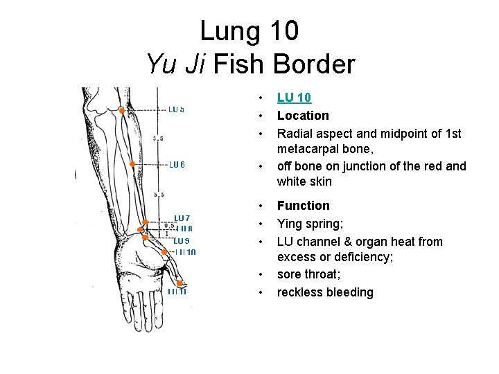 Lung 10 Yu Ji Fish Border • • • LU 10 Location Radial aspect