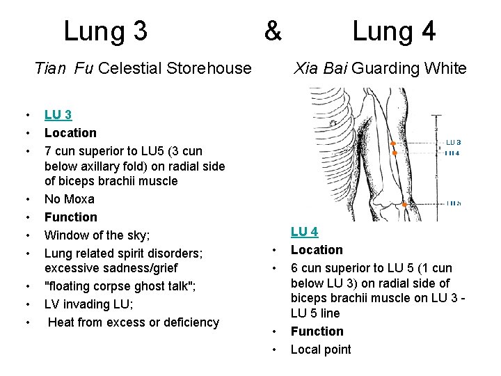 Lung 3 & Tian Fu Celestial Storehouse • • • LU 3 Location 7