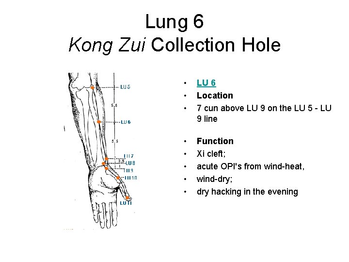 Lung 6 Kong Zui Collection Hole • • • LU 6 Location 7 cun