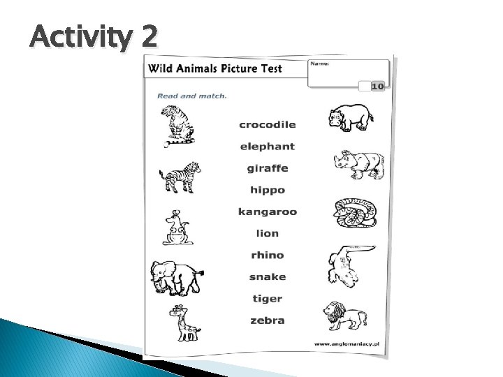 Activity 2 