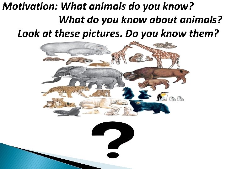 Motivation: What animals do you know? What do you know about animals? Look at