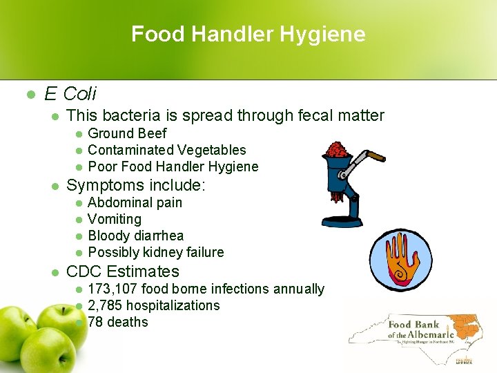Food Handler Hygiene l E Coli l This bacteria is spread through fecal matter