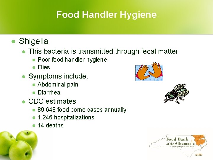 Food Handler Hygiene l Shigella l This bacteria is transmitted through fecal matter l