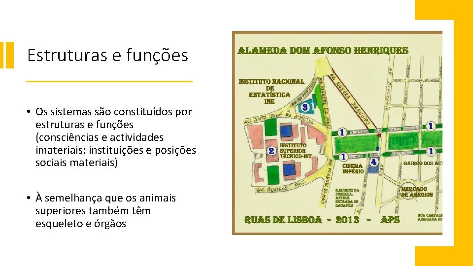 Estruturas e funções • Os sistemas são constituídos por estruturas e funções (consciências e