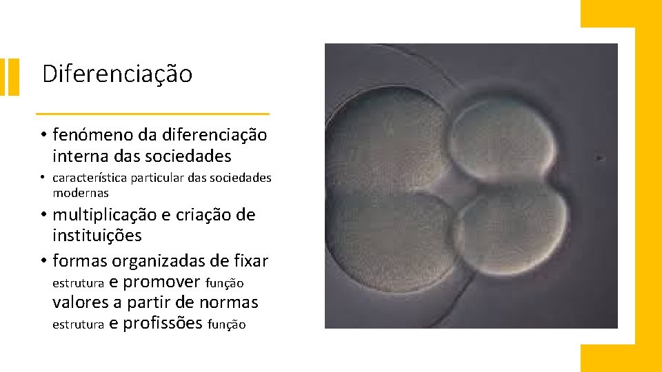 Diferenciação • fenómeno da diferenciação interna das sociedades • característica particular das sociedades modernas