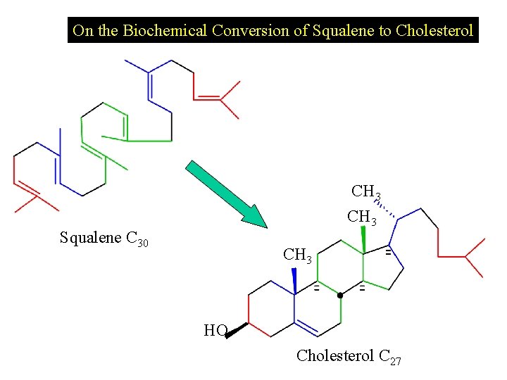On the Biochemical Conversion of Squalene to Cholesterol CH 3 Squalene C 30 CH