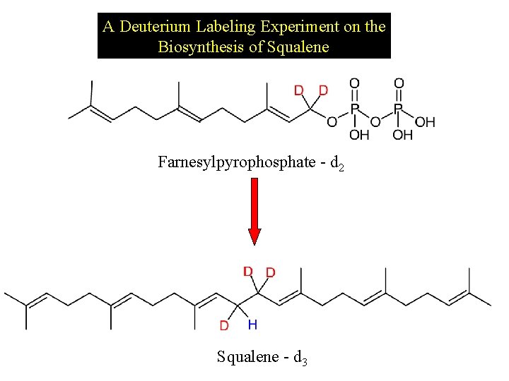A Deuterium Labeling Experiment on the Biosynthesis of Squalene Farnesylpyrophosphate - d 2 Squalene
