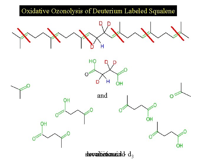 Oxidative Ozonolysis of Deuterium Labeled Squalene and succinic levulinic acetone acid- d 3 