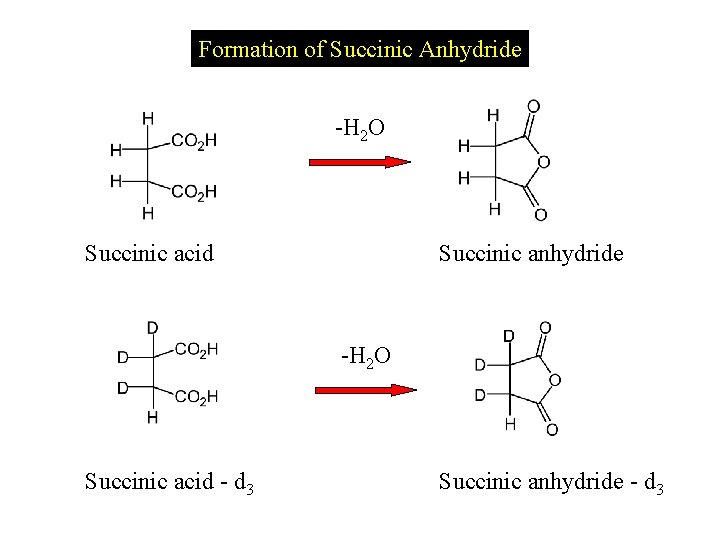 Formation of Succinic Anhydride -H 2 O Succinic acid Succinic anhydride -H 2 O