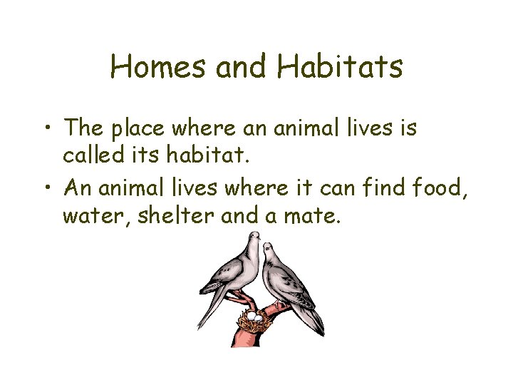 Homes and Habitats • The place where an animal lives is called its habitat.