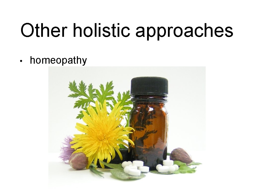 Other holistic approaches • homeopathy 