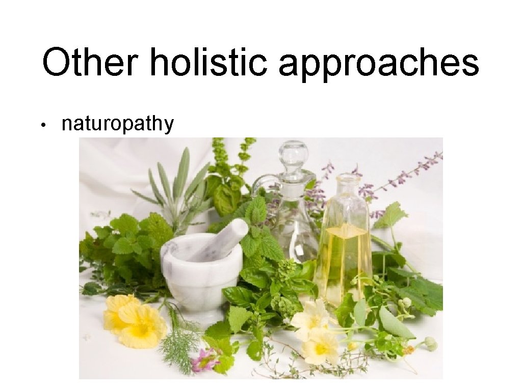 Other holistic approaches • naturopathy 