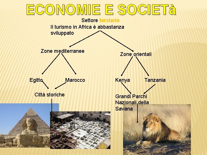 ECONOMIE E SOCIETà Settore terziario Il turismo in Africa è abbastanza sviluppato Zone mediterranee