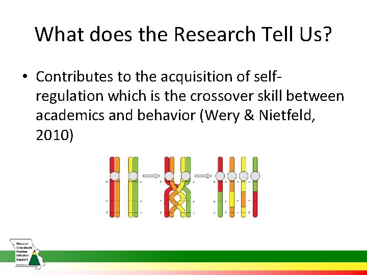 What does the Research Tell Us? • Contributes to the acquisition of selfregulation which