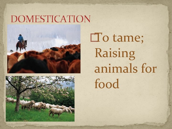 DOMESTICATION � To tame; Raising animals for food 