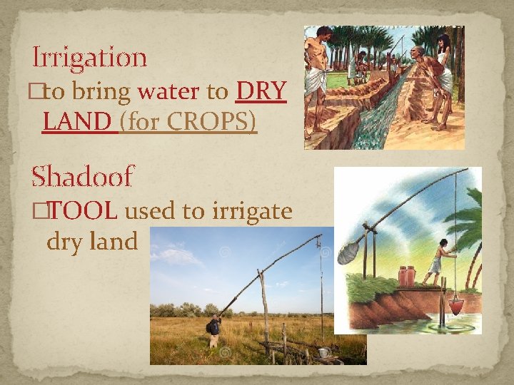 Irrigation �to bring water to DRY LAND (for CROPS) Shadoof �TOOL used to irrigate