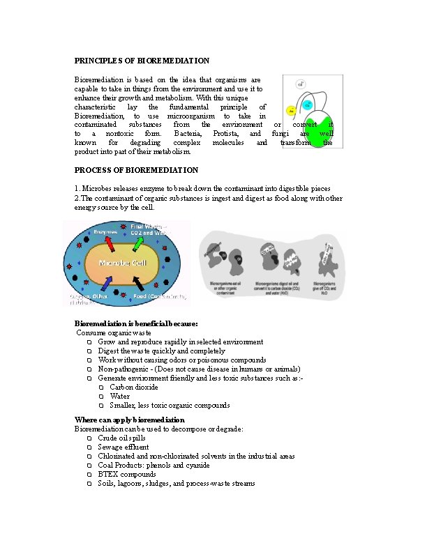 PRINCIPLES OF BIOREMEDIATION Bioremediation is based on the idea that organisms are capable to