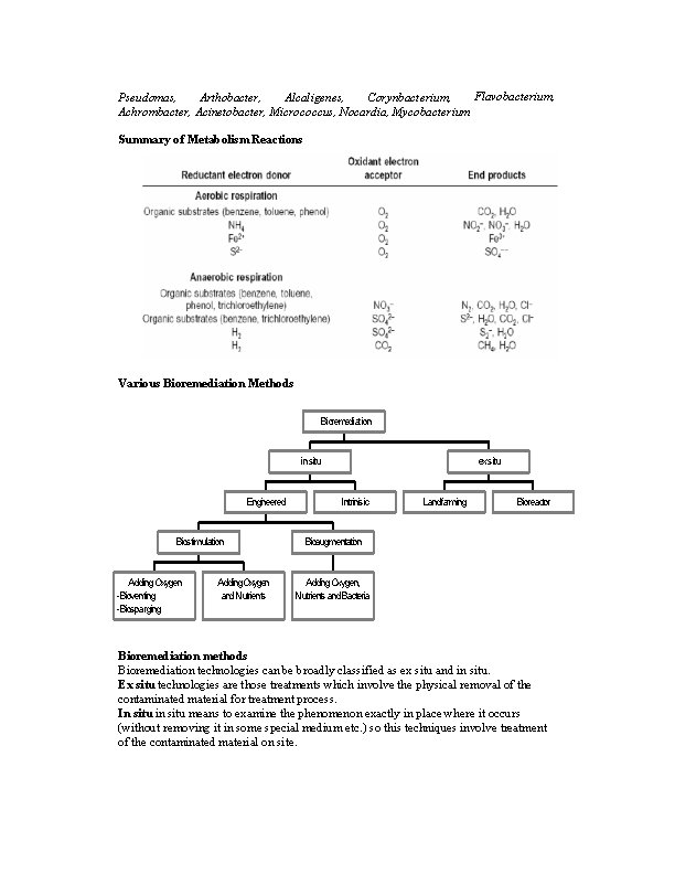 Flavobacterium, Pseudomas, Arthobacter, Alcaligenes, Corynbacterium, Achrombacter, Acinetobacter, Micrococcus, Nocardia, Mycobacterium Summary of Metabolism Reactions