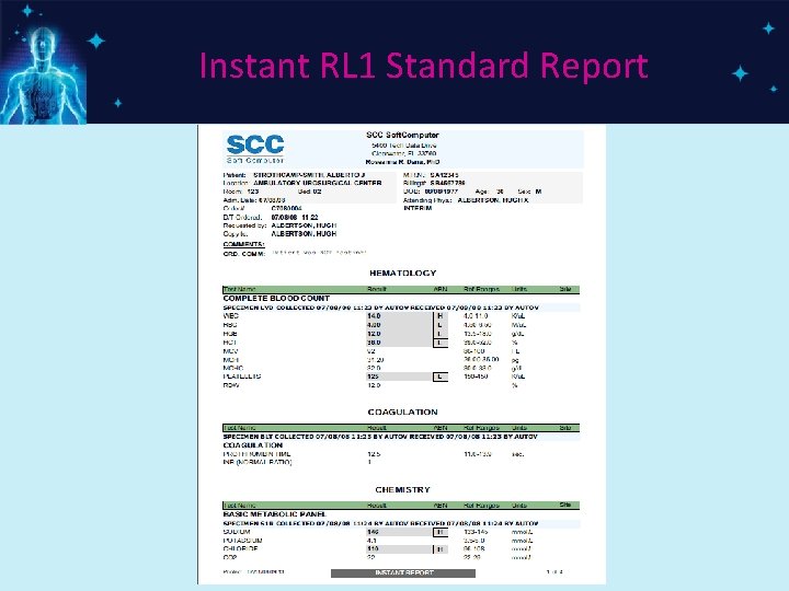 Instant RL 1 Standard Report 
