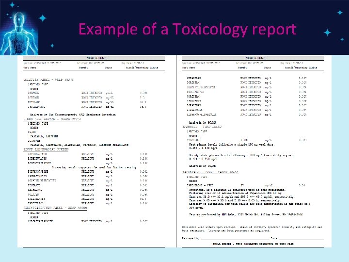 Example of a Toxicology report 
