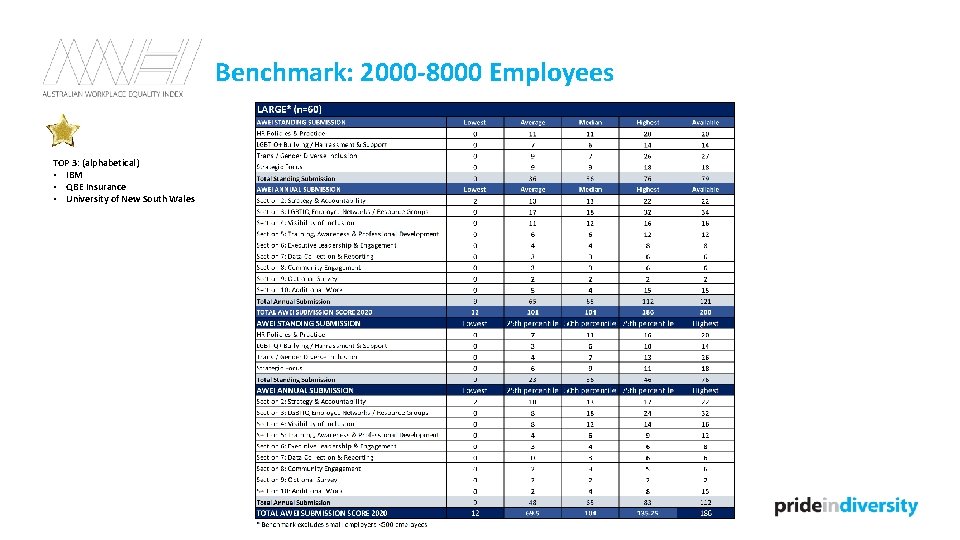 Benchmark: 2000 -8000 Employees TOP 3: (alphabetical) • IBM • QBE Insurance • University