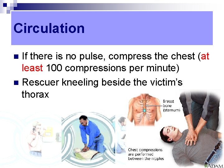 Circulation If there is no pulse, compress the chest (at least 100 compressions per