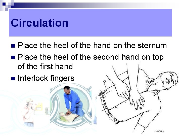 Circulation Place the heel of the hand on the sternum n Place the heel