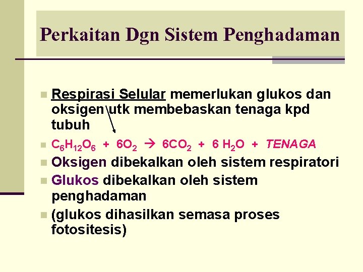 Perkaitan Dgn Sistem Penghadaman Respirasi Selular memerlukan glukos dan oksigen utk membebaskan tenaga kpd