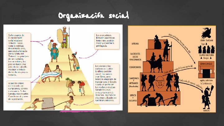 Organización social 