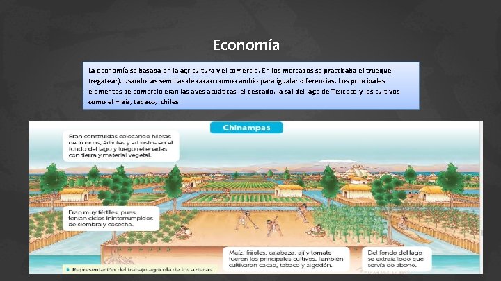 Economía La economía se basaba en la agricultura y el comercio. En los mercados