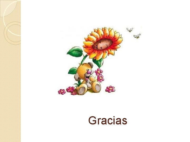 Gracias 