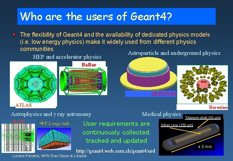 Who are the users of Geant 4? The flexibility of Geant 4 and the